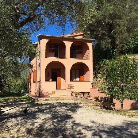 Argentella House Villa Palombara Sabina Ngoại thất bức ảnh